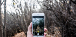 Watch Really Funny Animals Do Crazy Things